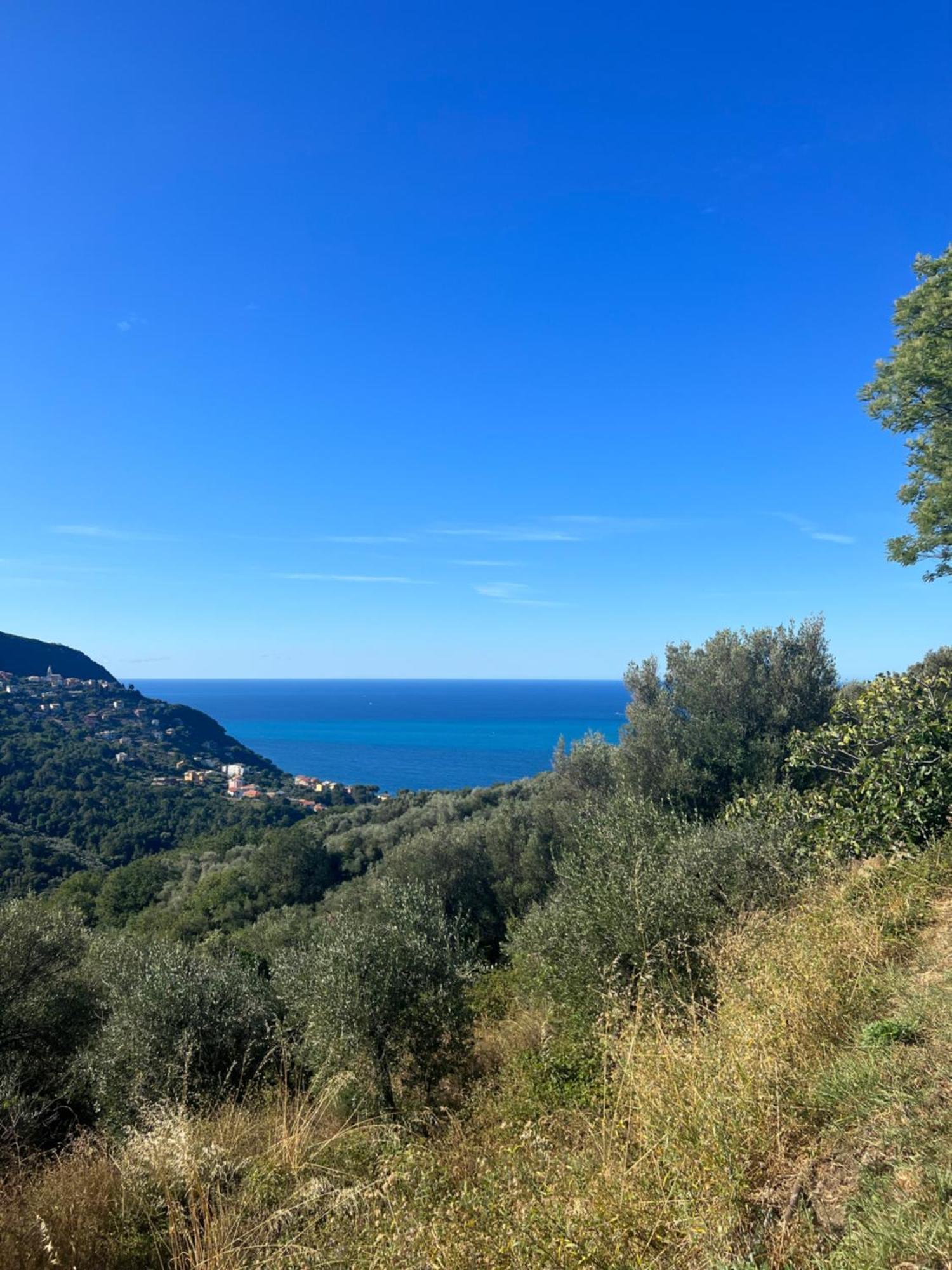 Olivetta House Holiday Moneglia Exterior photo